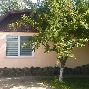 With Kitchen And Garden Киев
